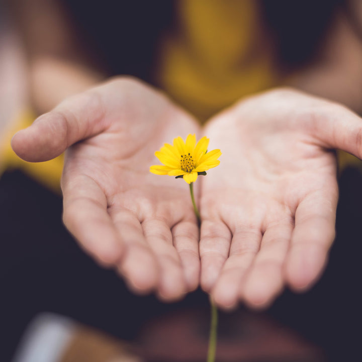 Forgiveness and forgetting - Your guide to a tidy mind