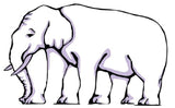 Literal Optical Illusion Elephant trunk and five legs